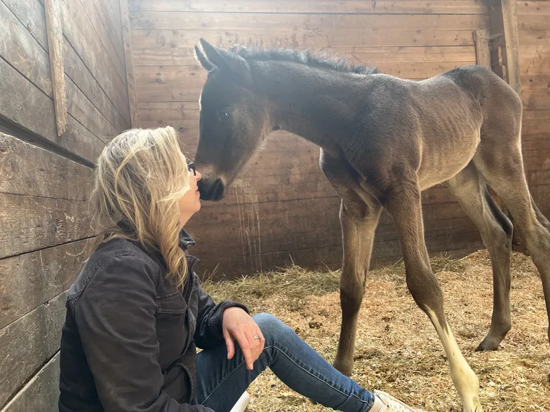 The owner sitting in the straw of a wooden stall, face to face with a dark foal